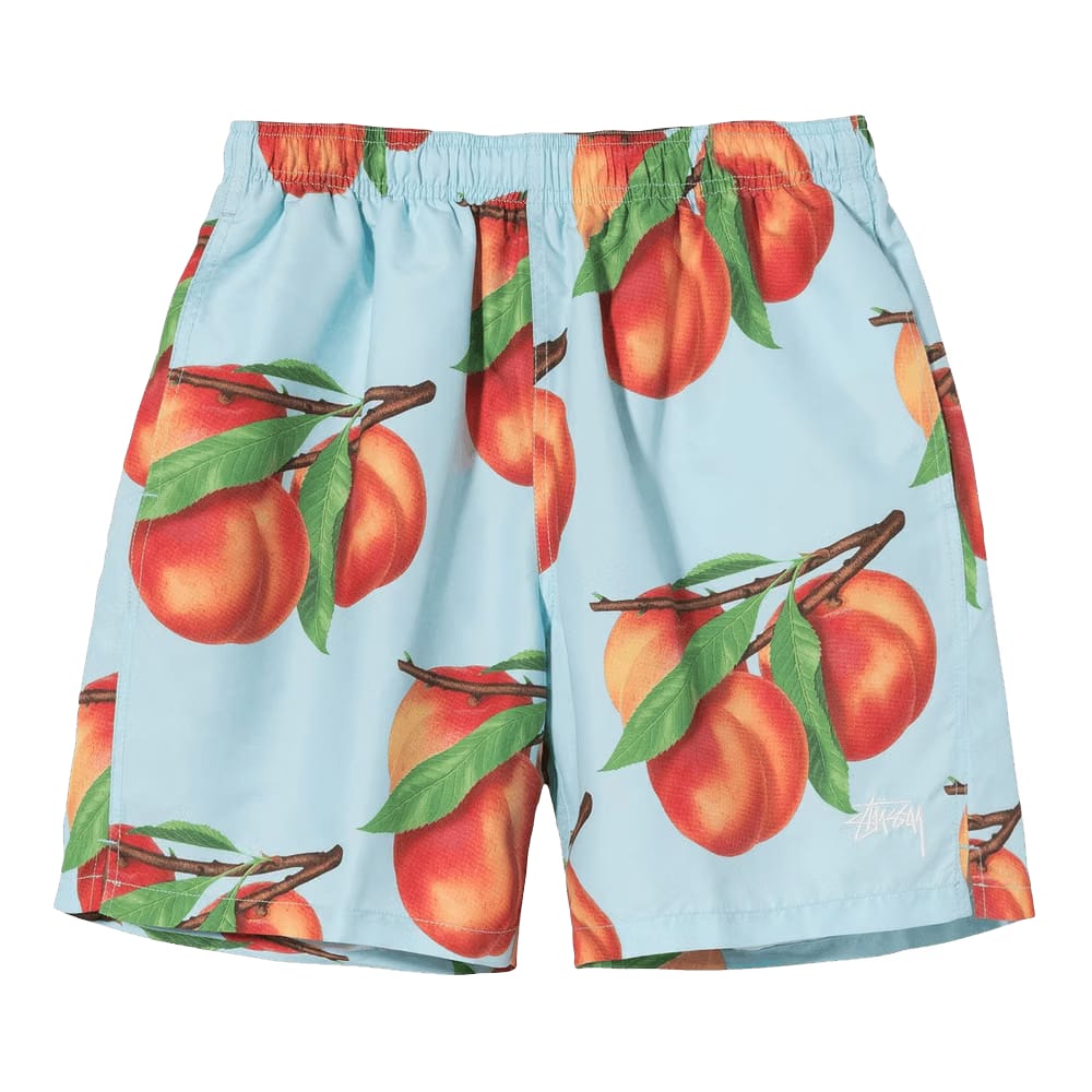 Stussy Peaches Water Shorts Blue