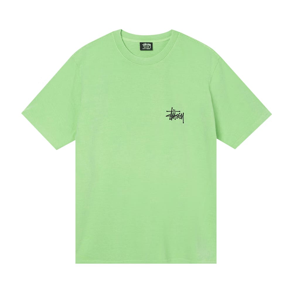 Stussy Skull Wings Pigment Dyed T-Shirt Green
