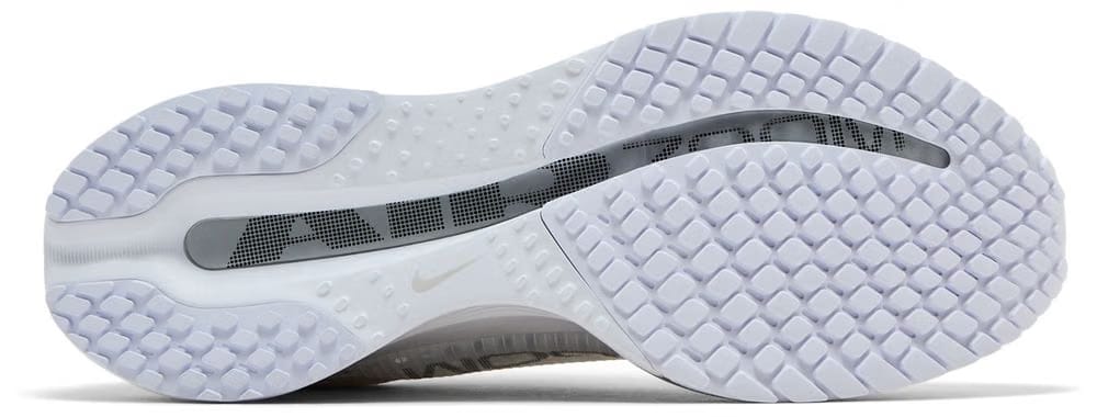 Nike Pegasus Premium White Metallic Silver
