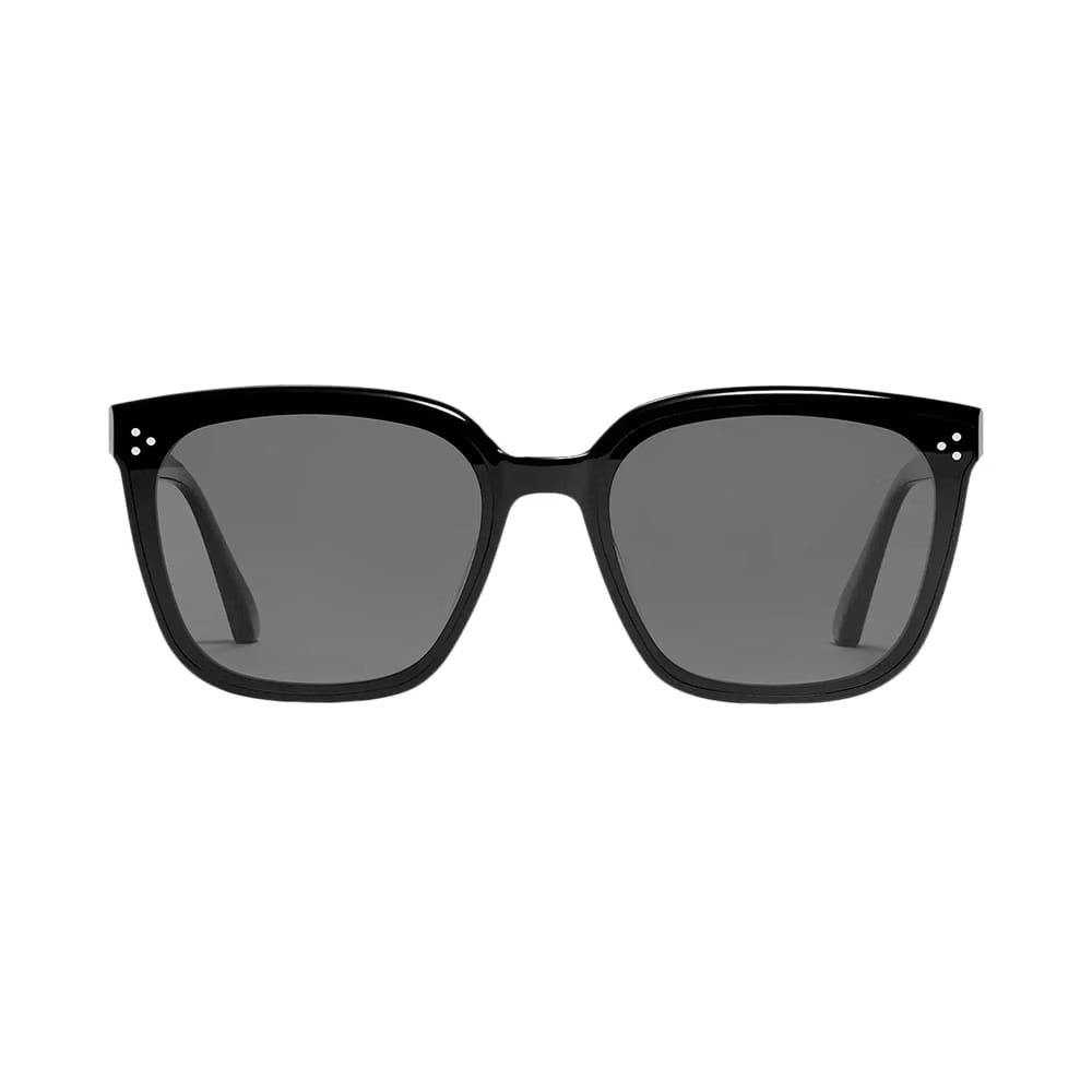 Gentle Monster Palette 01 Sunglasses Black