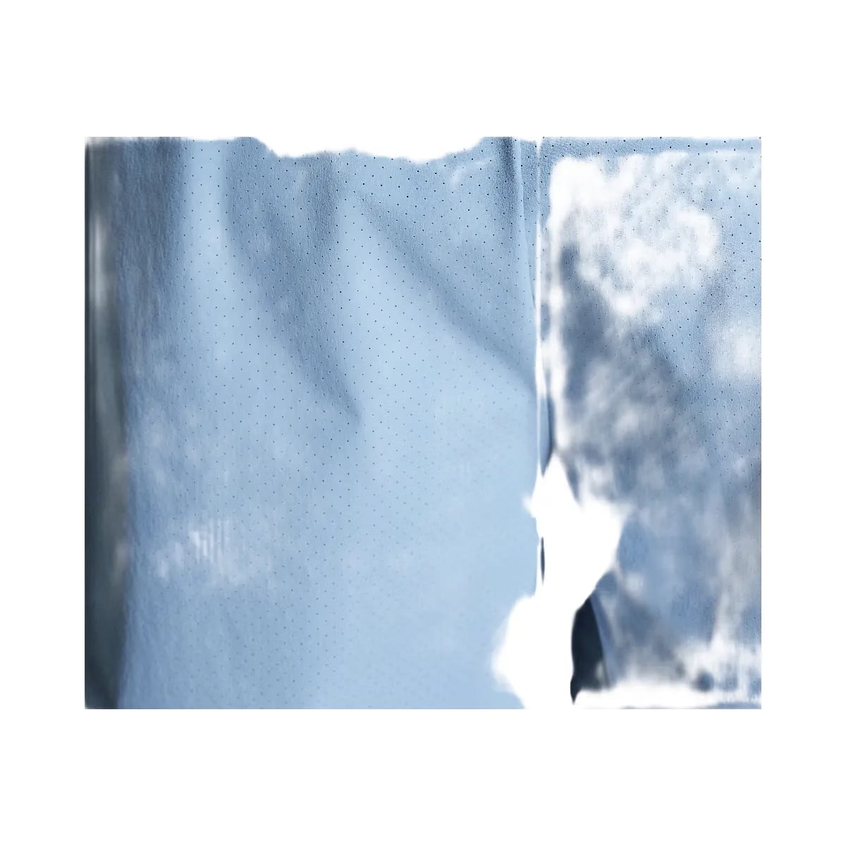On 5" Performance Shorts Chambray