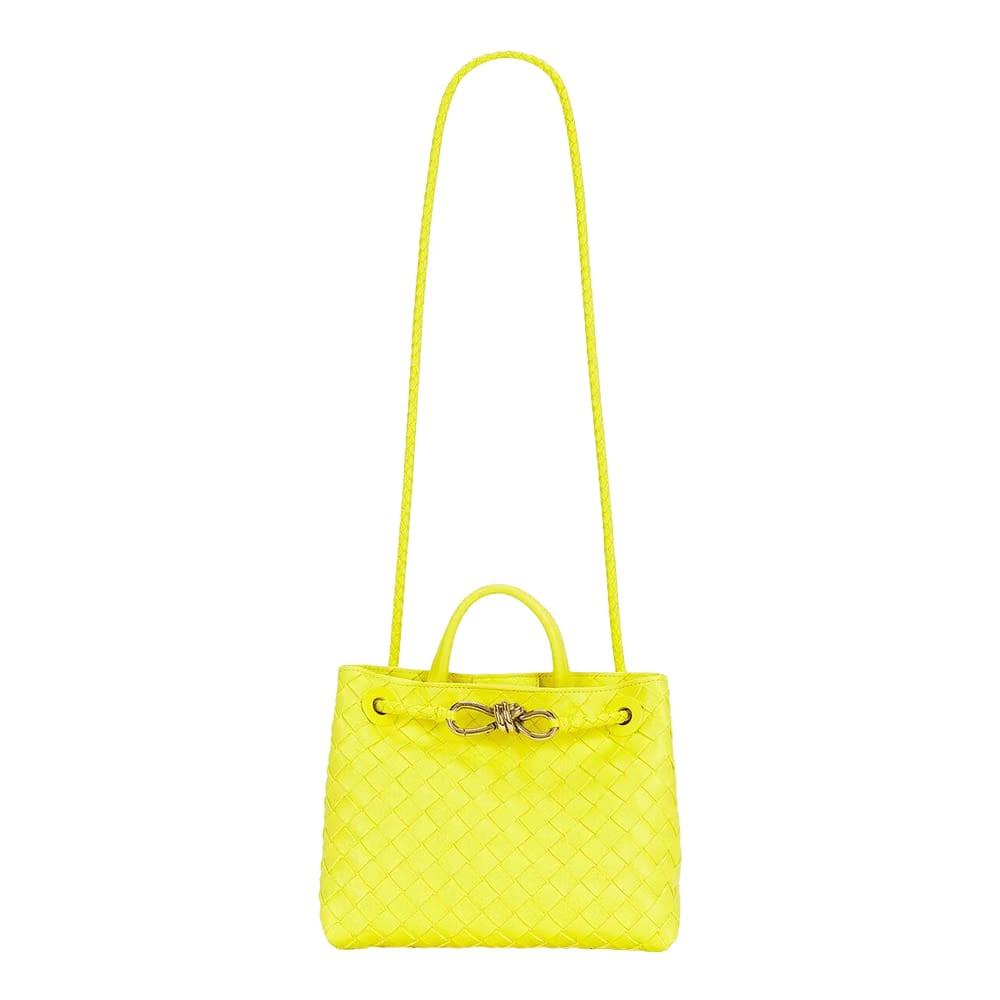 Bottega Veneta Small Andiamo Sulfur/Muse B