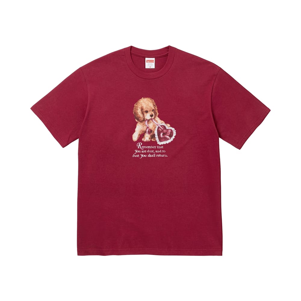 Supreme Dust T-Shirt Cardinal