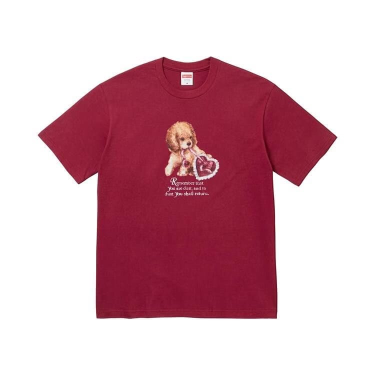 Supreme Dust T-Shirt Cardinal