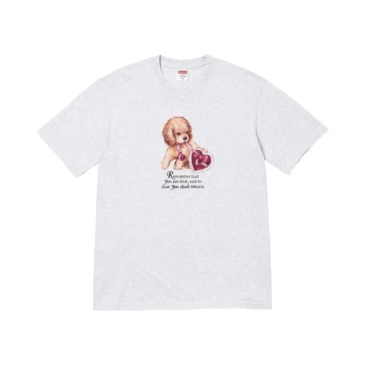 Supreme Dust T-Shirt Ash Grey