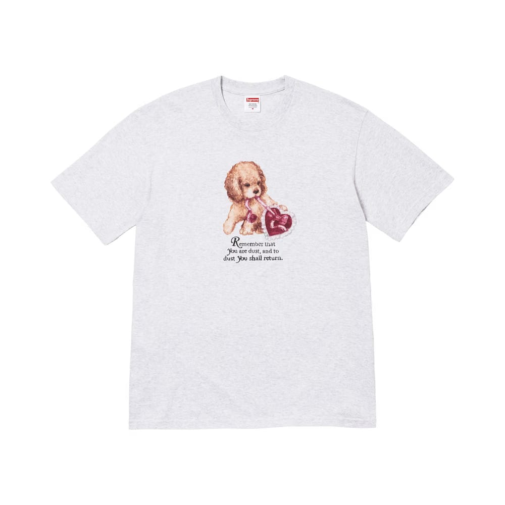 Supreme Dust T-Shirt Ash Grey