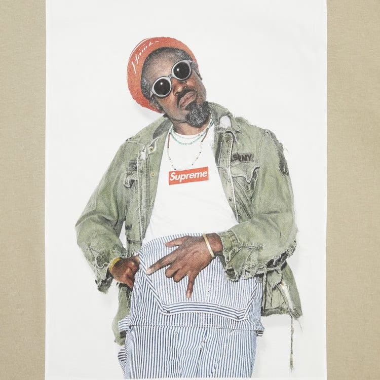 Supreme André 3000 T-Shirt Stone