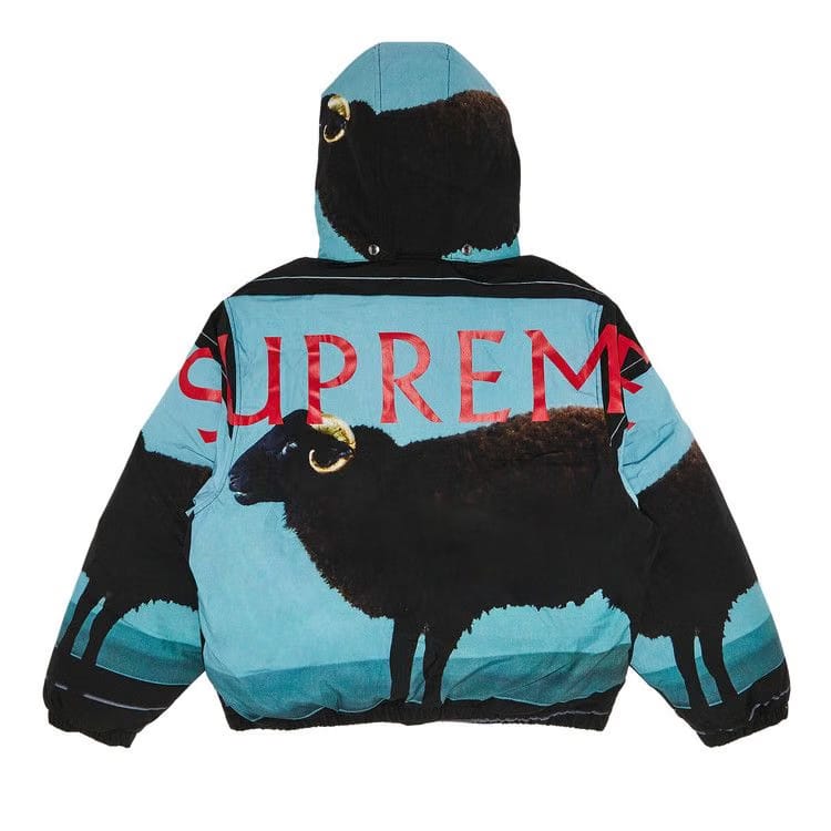 Supreme x Damien Hirst Down Puffer Jacket Black