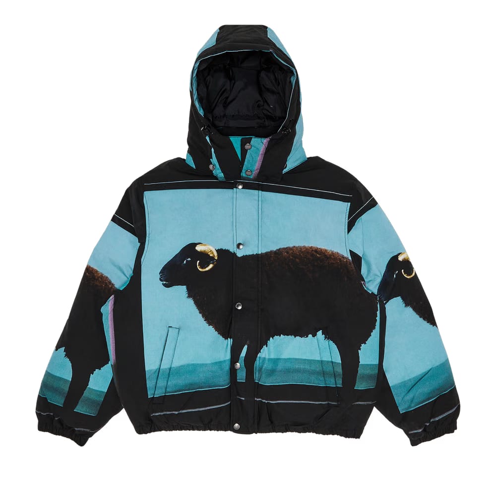 Supreme x Damien Hirst Down Puffer Jacket Black