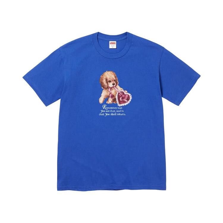 Supreme Dust T-Shirt Royal