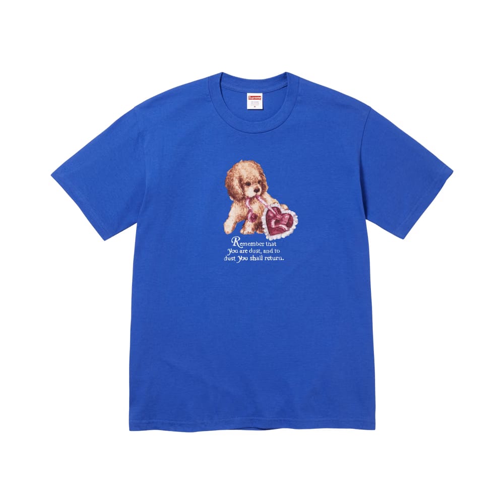 Supreme Dust T-Shirt Royal