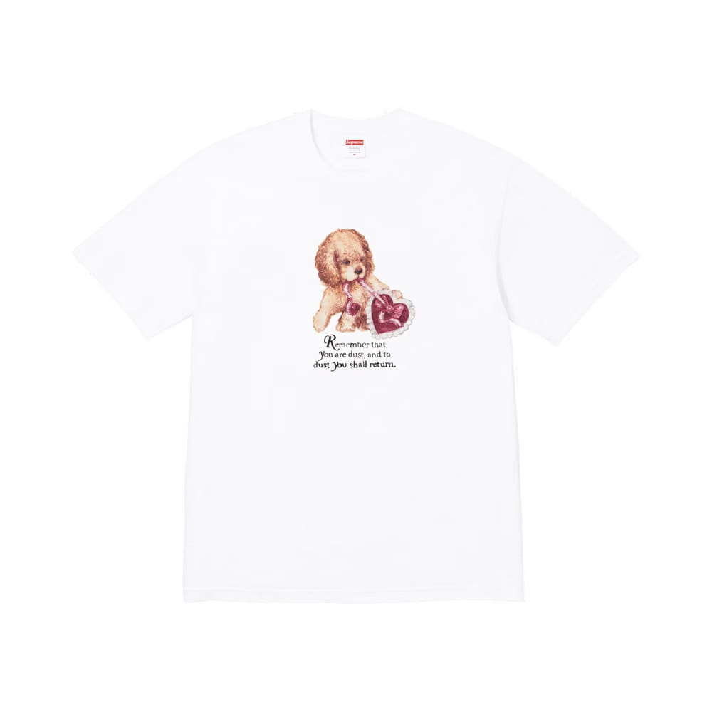 Supreme Dust T-Shirt White