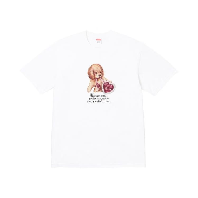 Supreme Dust T-Shirt White