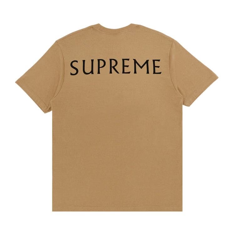 Supreme x Damien Hirst T-Shirt Khaki