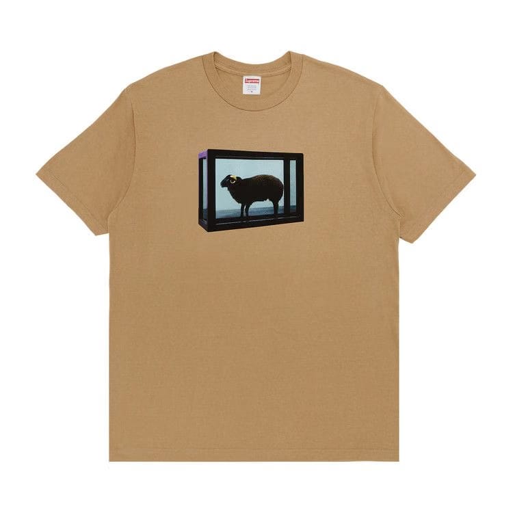 Supreme x Damien Hirst T-Shirt Khaki