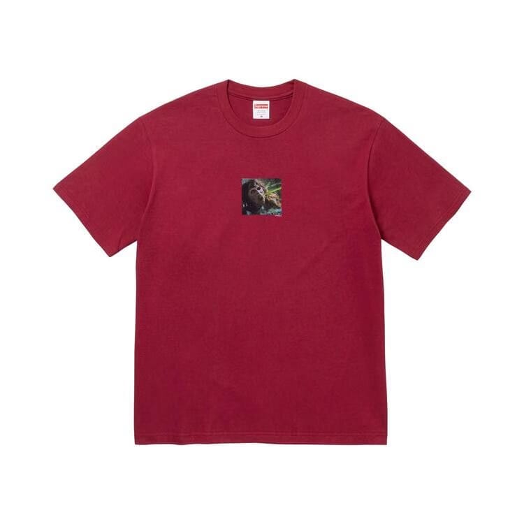 Supreme x The Exorcist Puke T-Shirt Cardinal