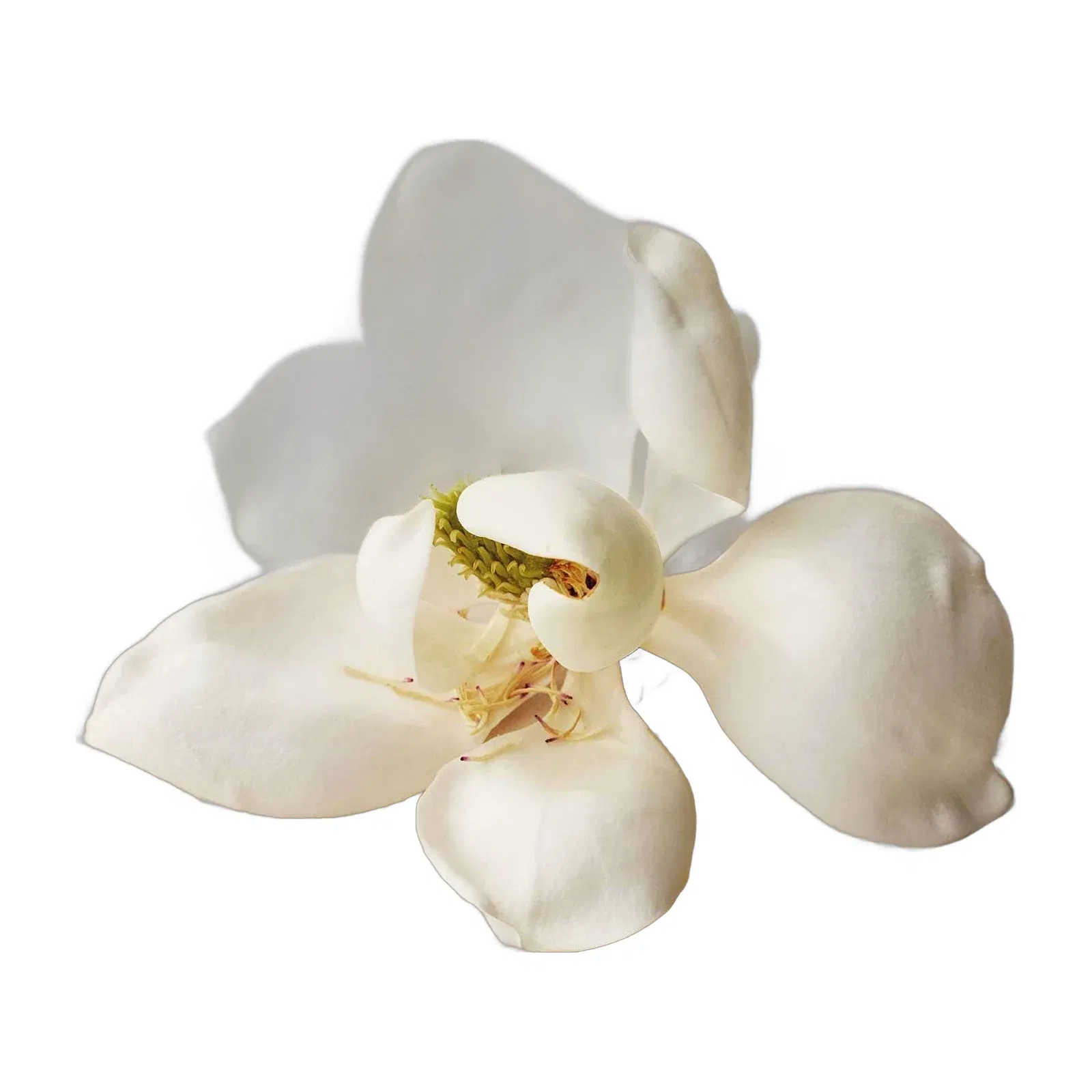 Chloe Atelier Des Fleurs Magnolia Alba EDP (150 ml) - Chloe