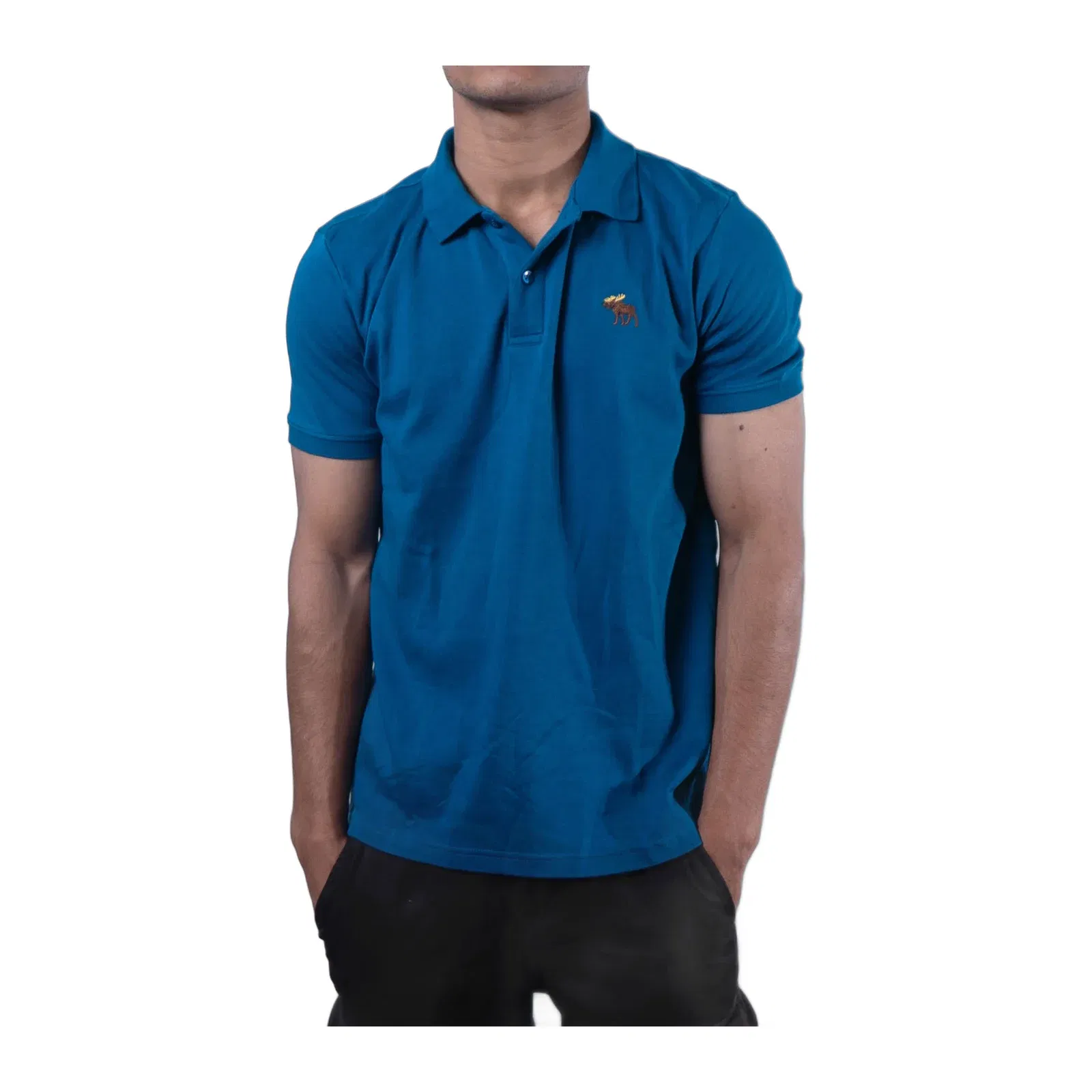 Abercrombie & Fitch Tonal Icon Don't Sweat it Polo T-Shirt - Teal (S)