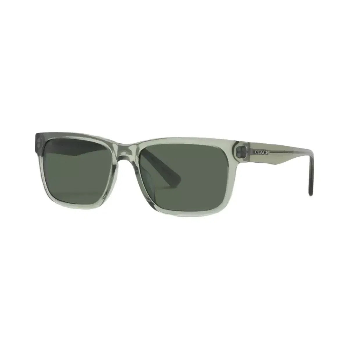 Coach Square Frame Sunglasses Transparent Green