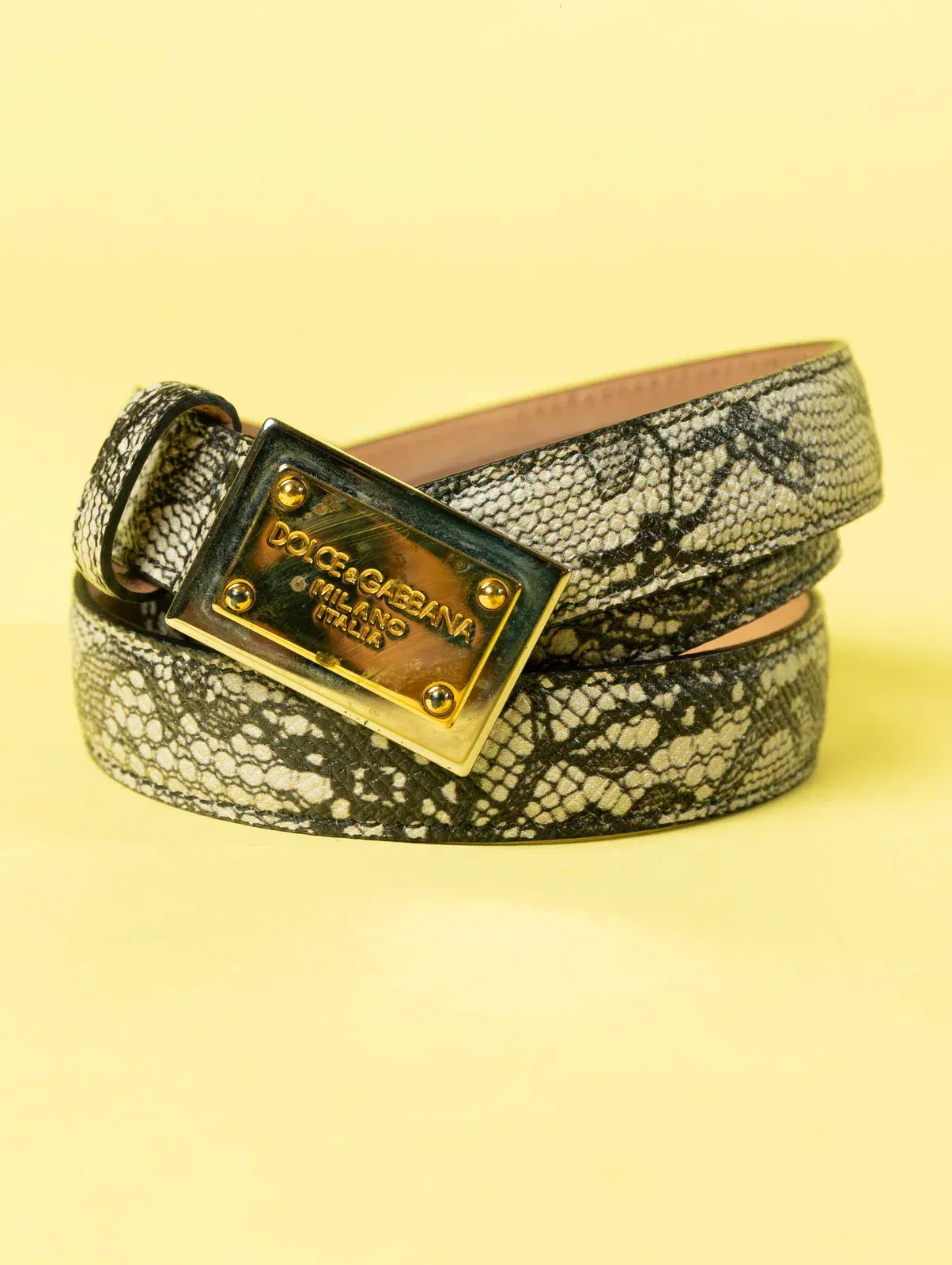Dolce & Gabbana Python Ladies Belt Snake Skin (One Size)