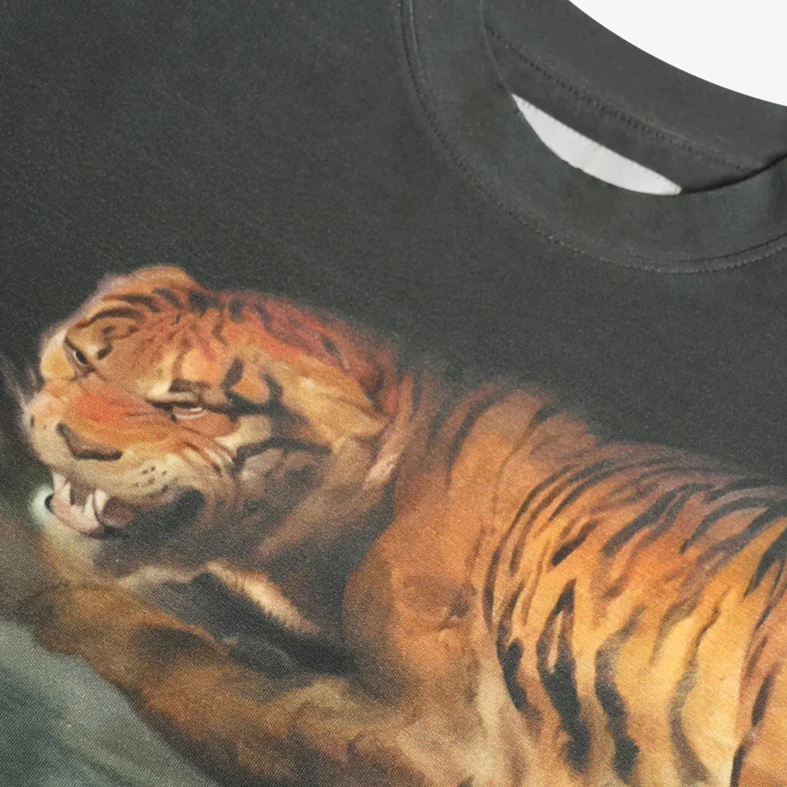 ALMOST GODS THE FOUR CONTINENTS CROPPED T-Shirt { MULTI