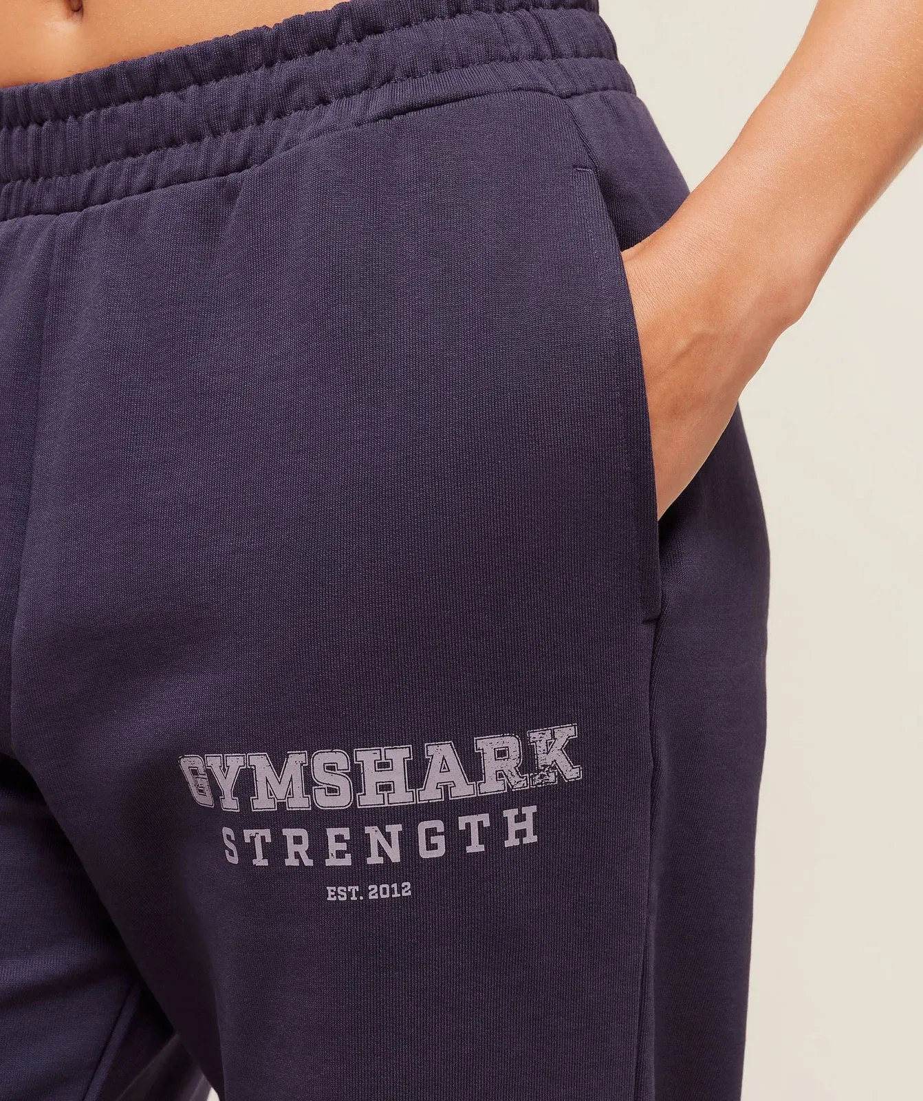 Gymshark Gymshark Strength Graphic Joggers - Midnight Purple