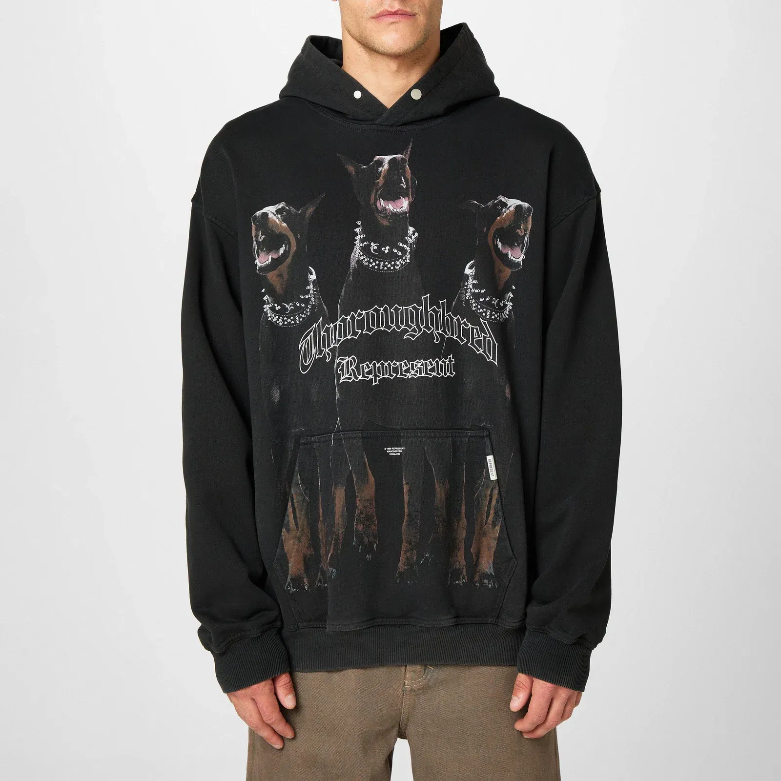 Thoroughbred Cotton Long Sleeve Hoodie
