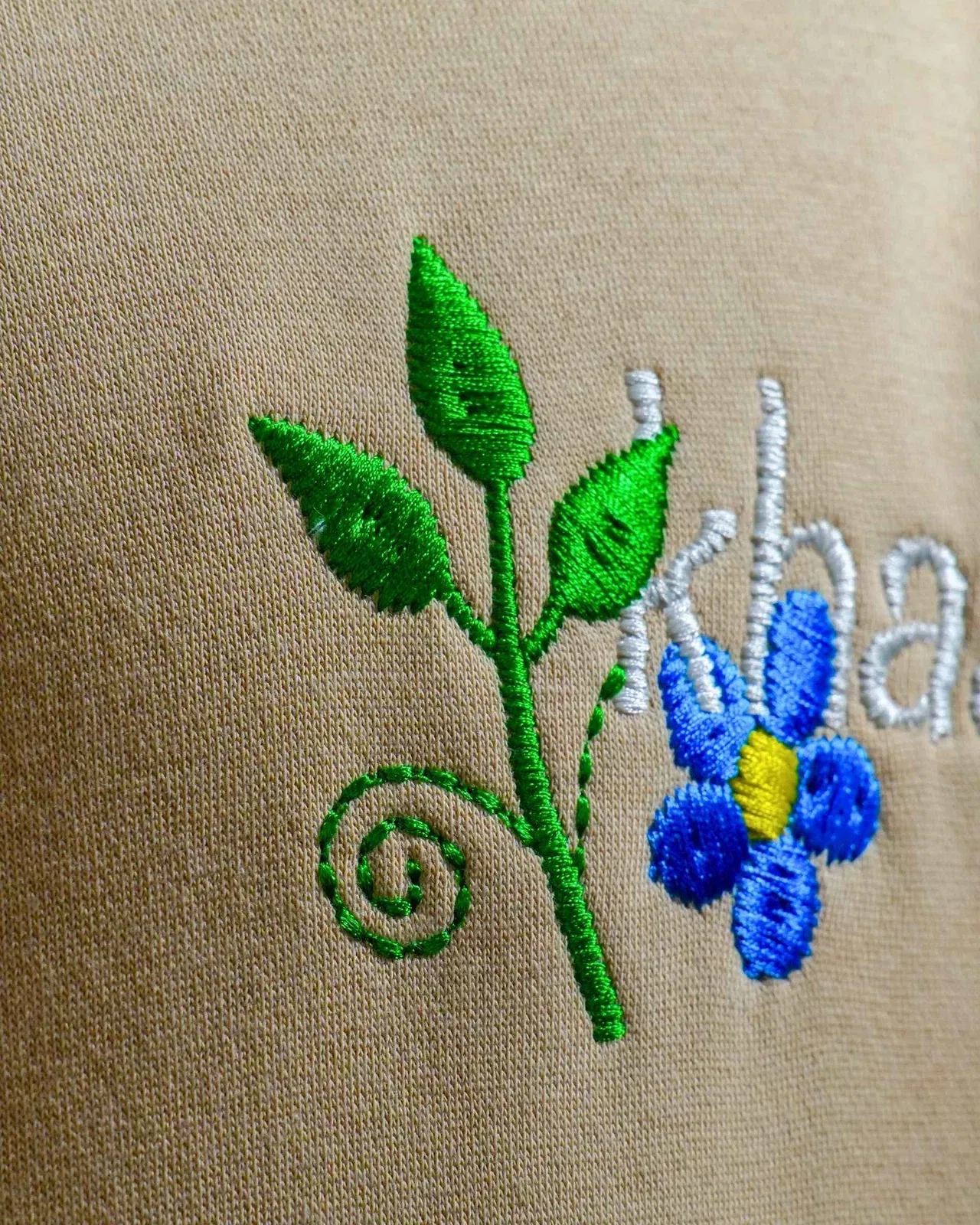 Bitch's Desire Hoodie - Beige Oversized Embroidered Hoodie