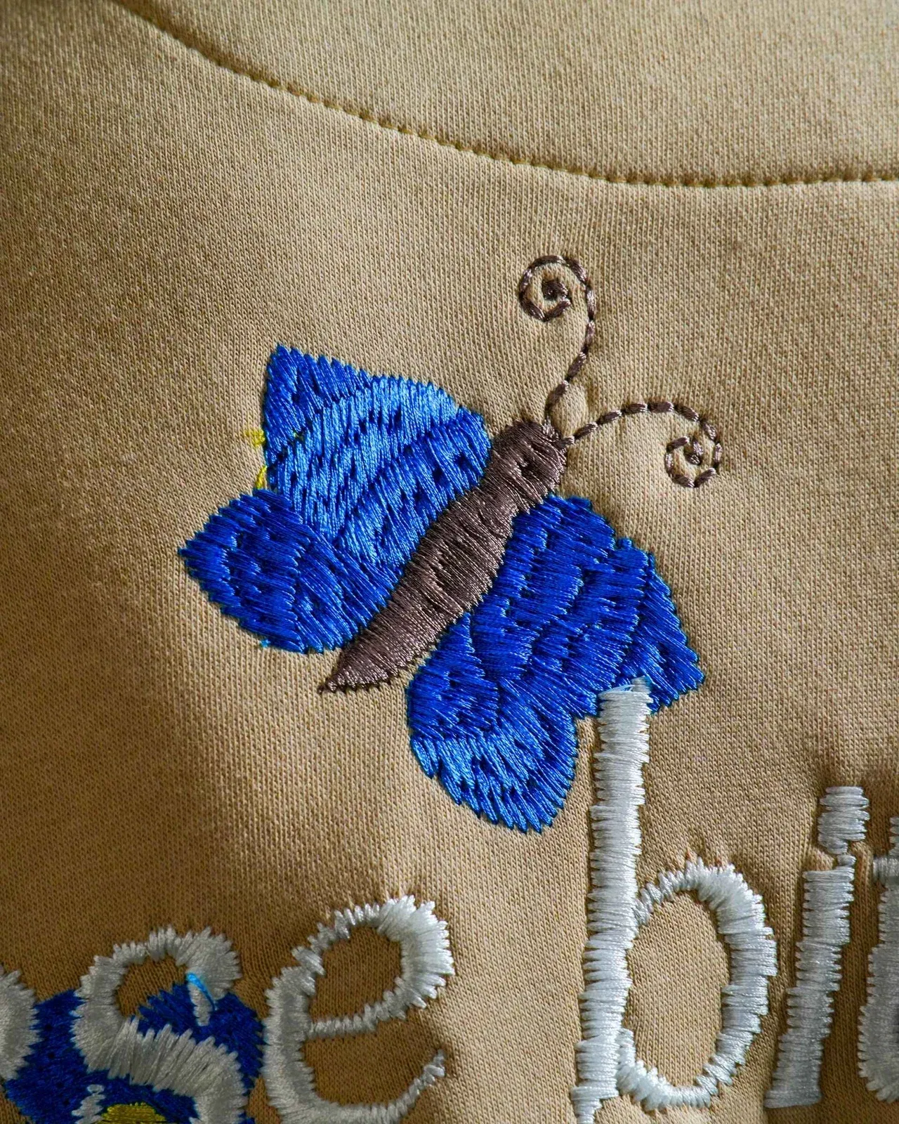 Bitch's Desire Hoodie - Beige Oversized Embroidered Hoodie