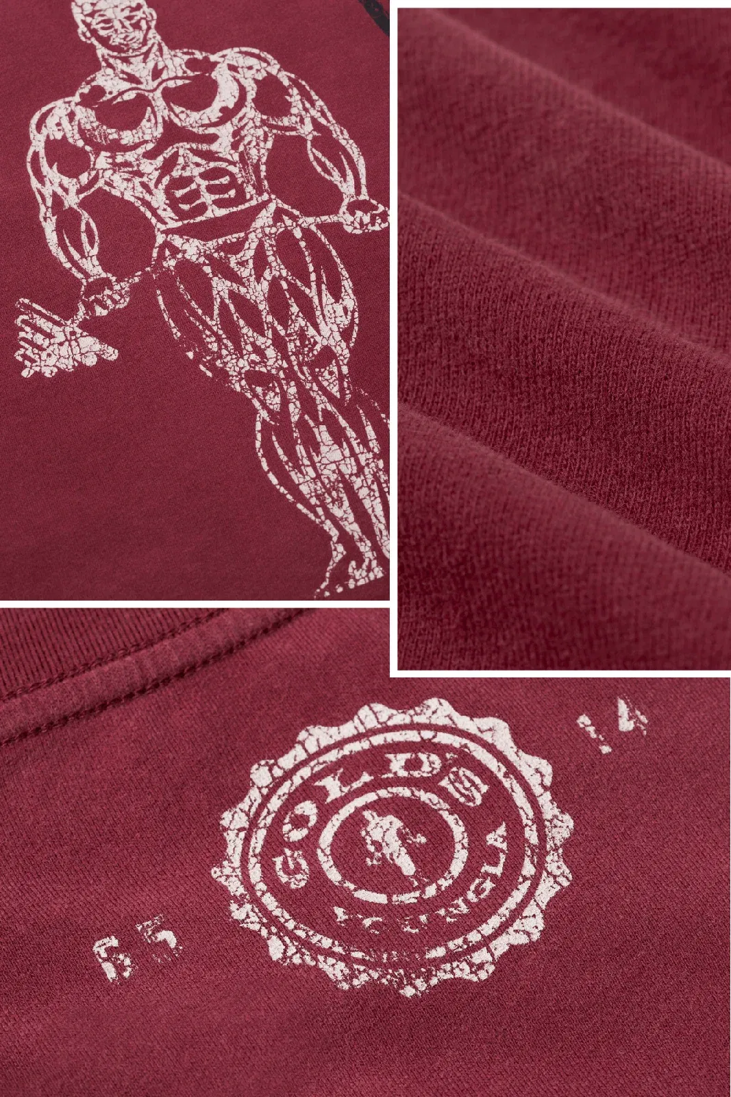 4213 - Gold's Iron Legacy Icon Tees
