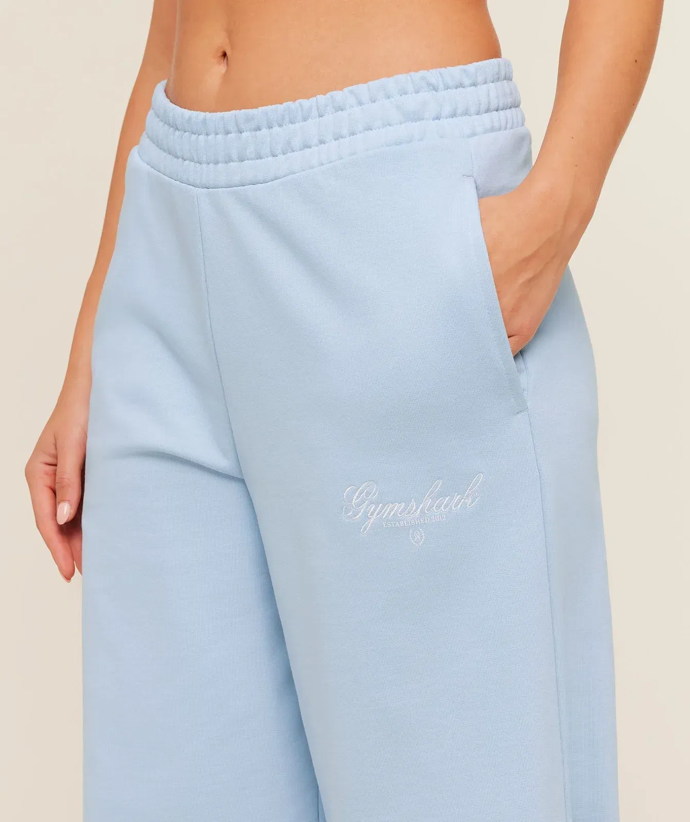 Women's Gymshark Script Embroidery Joggers Chilled Blue