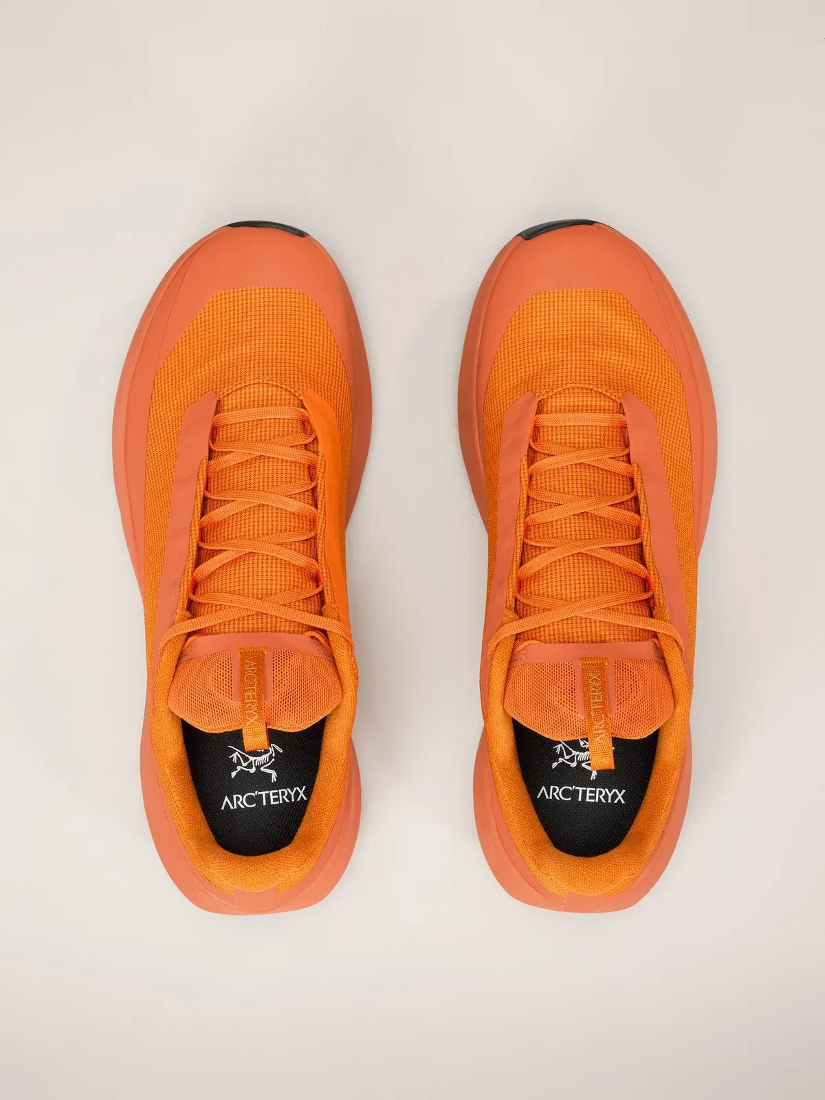 Arcteryx Outlet Norvan Ld 4 Gtx Shoe Mens Copper Sky