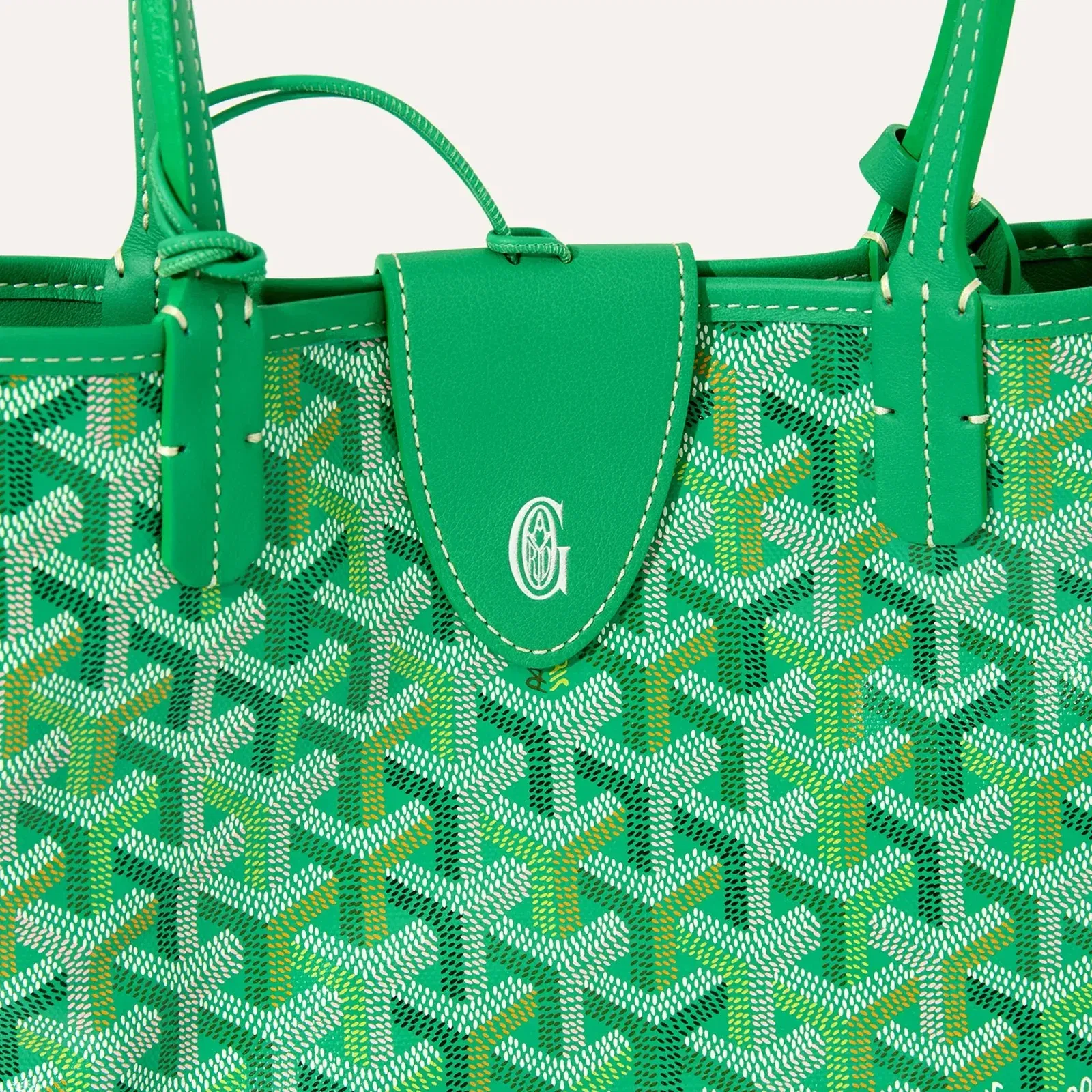 Goyard Anjou Mini bag Multicolored Meadow Green