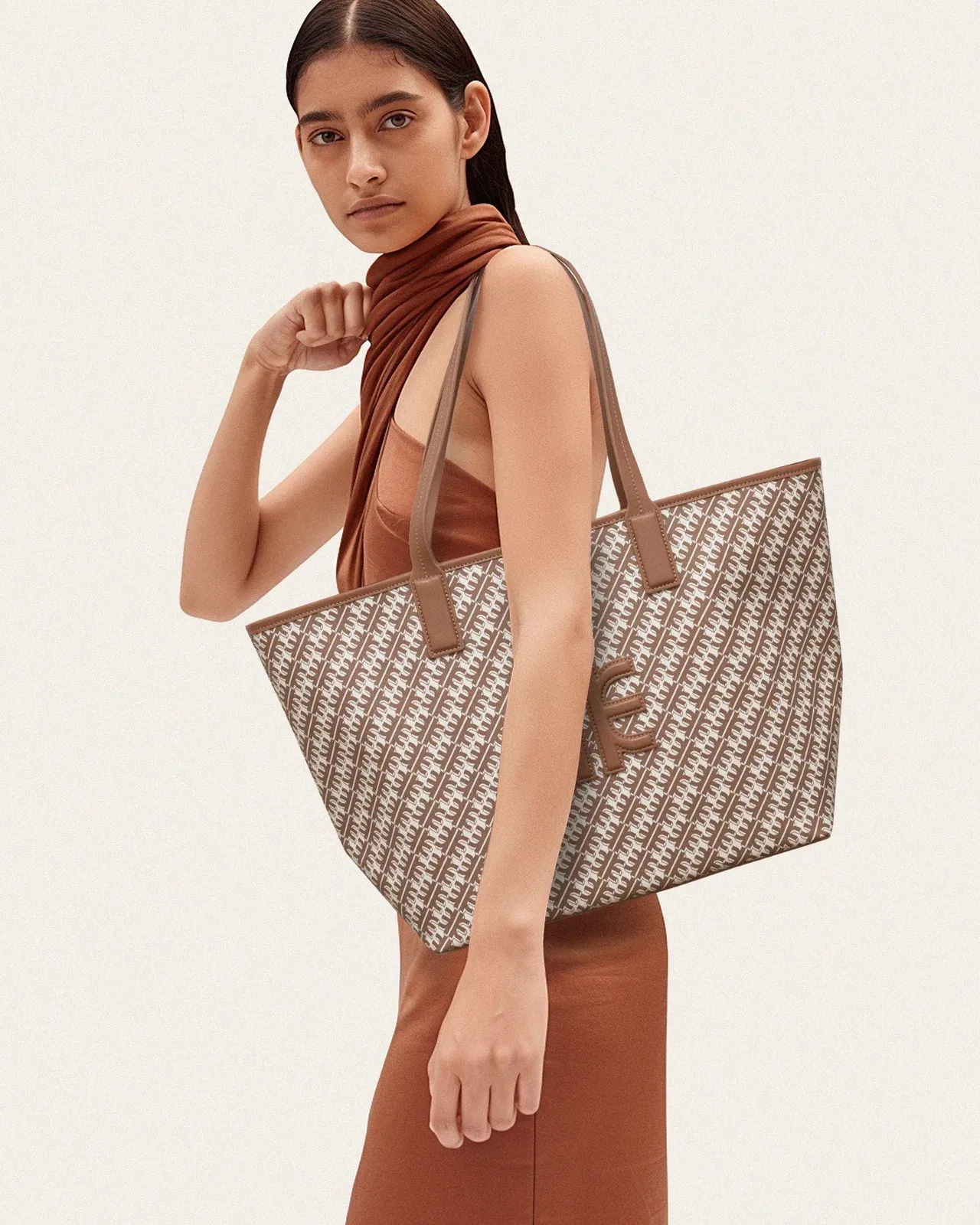 Jw Pei Fei Tote Bag Brown