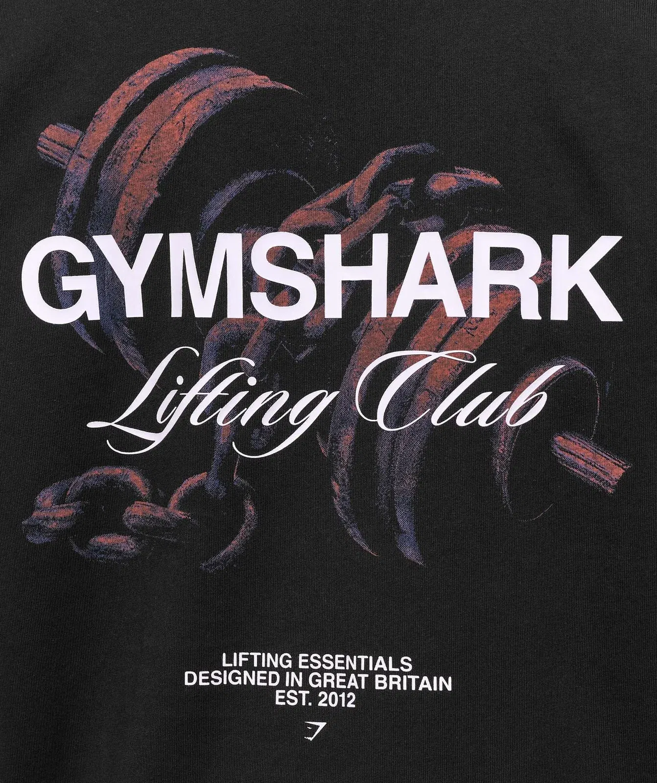 Gymshark Forged By Iron Graphic Oversized T-Shirt - Black
