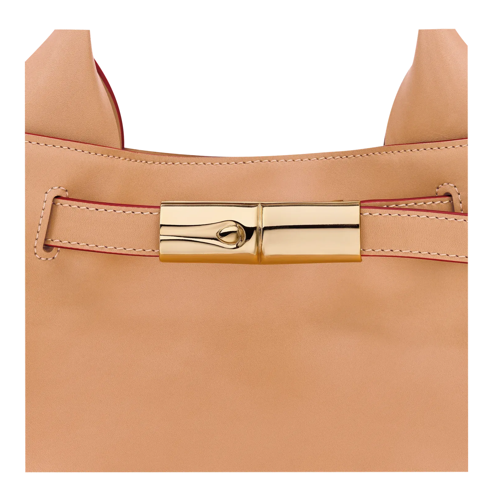Longchamp Le Smart Handbag Vegetal