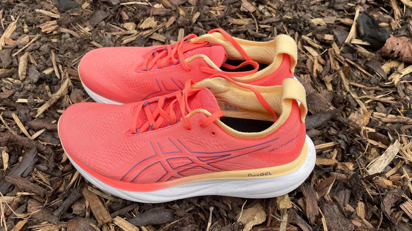 Asics Gel-Nimbus 25 White Pure Silver Yellow (Women'S)
