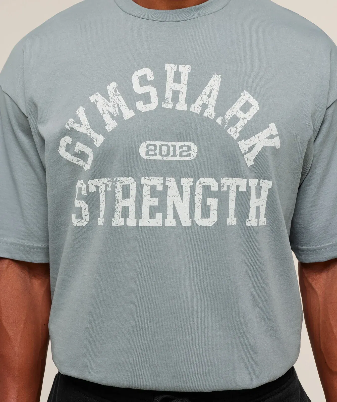 Gymshark 2012 Strength T-Shirt - Denim Grey