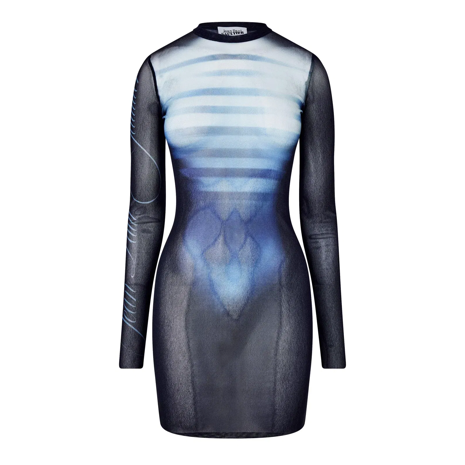 Long Sleeve Mesh Mini Dress
