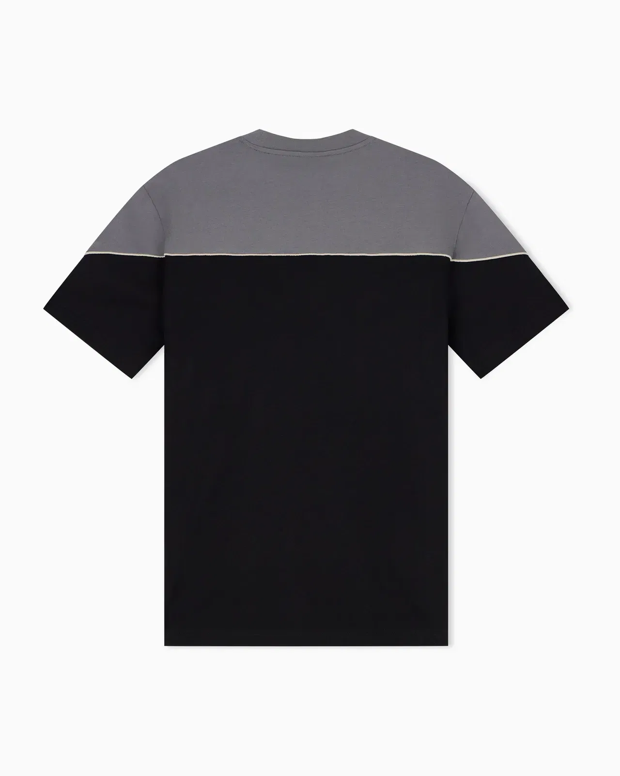 EA7 Regular fit t-shirt in cotton jersey