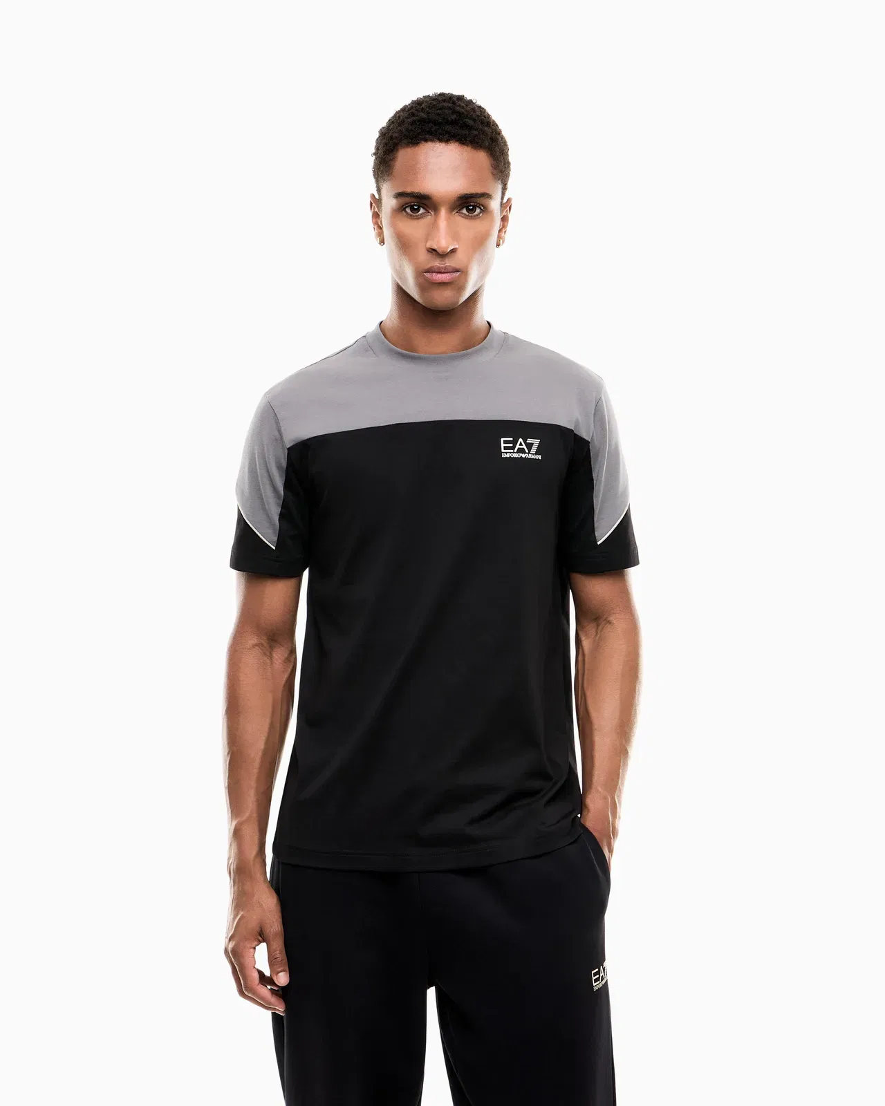 EA7 Regular fit t-shirt in cotton jersey