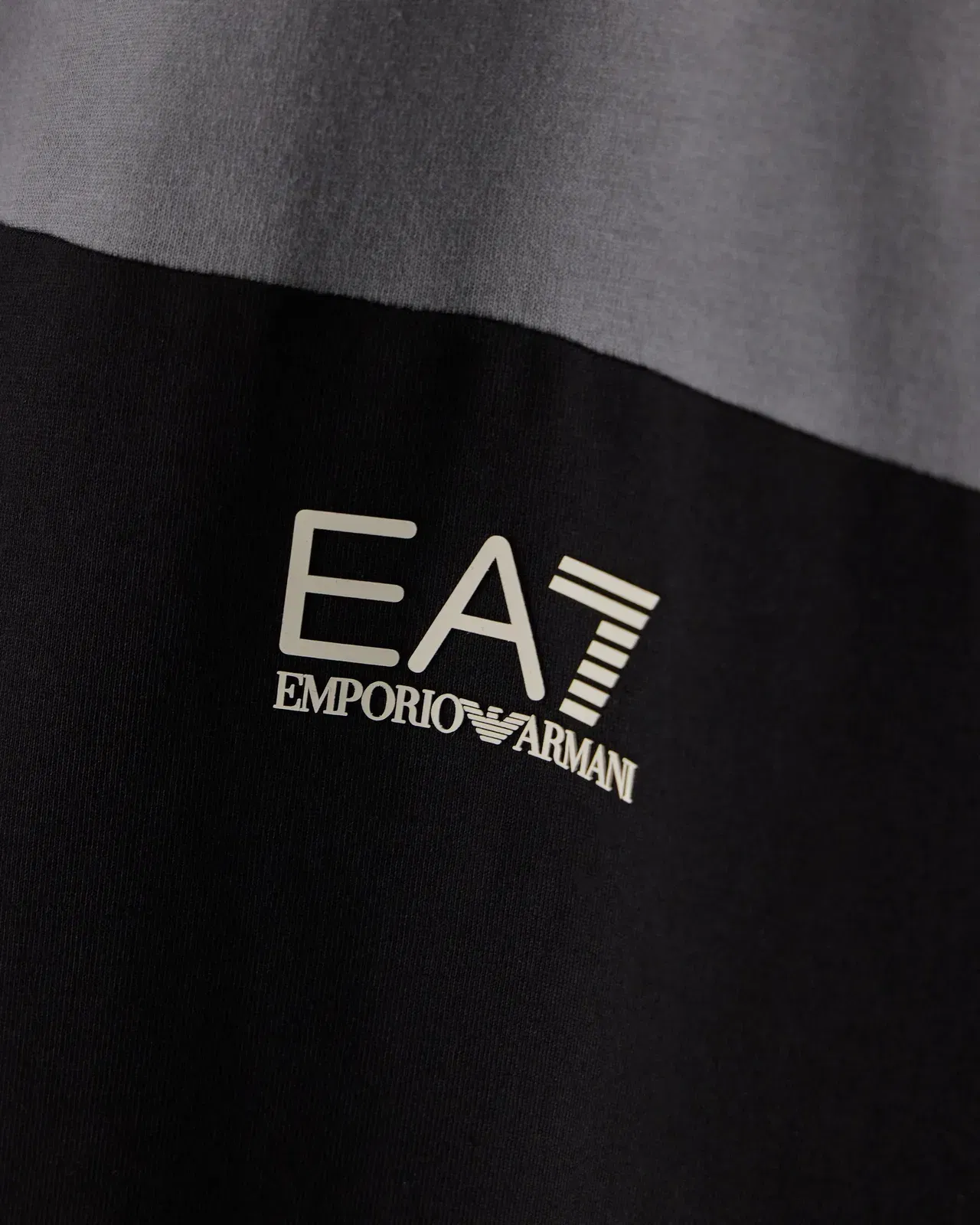 EA7 Regular fit t-shirt in cotton jersey