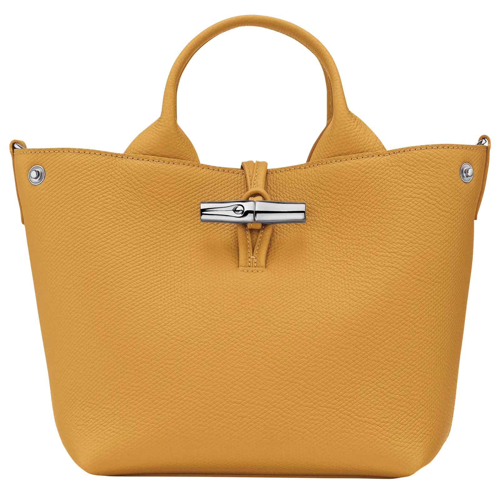Longchamp Le Roseau S Handbag Nutmeg