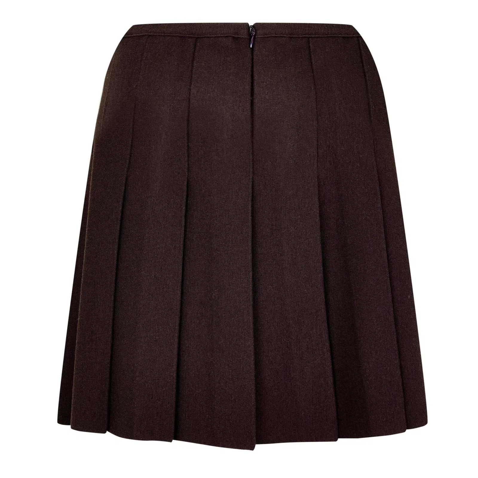 Pleated Mini Skirt