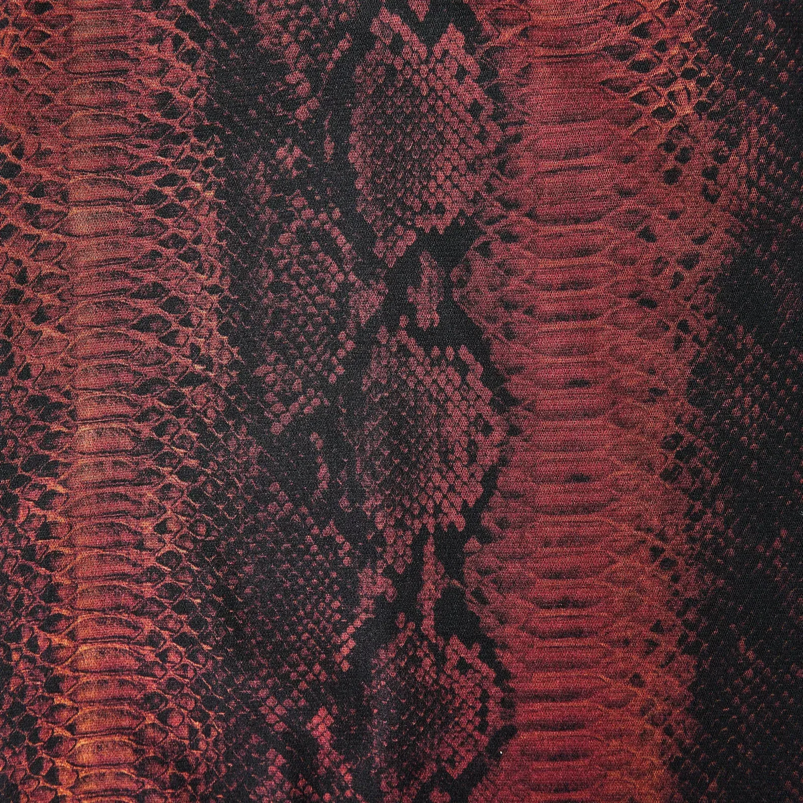 JPG Python Drs Ld54