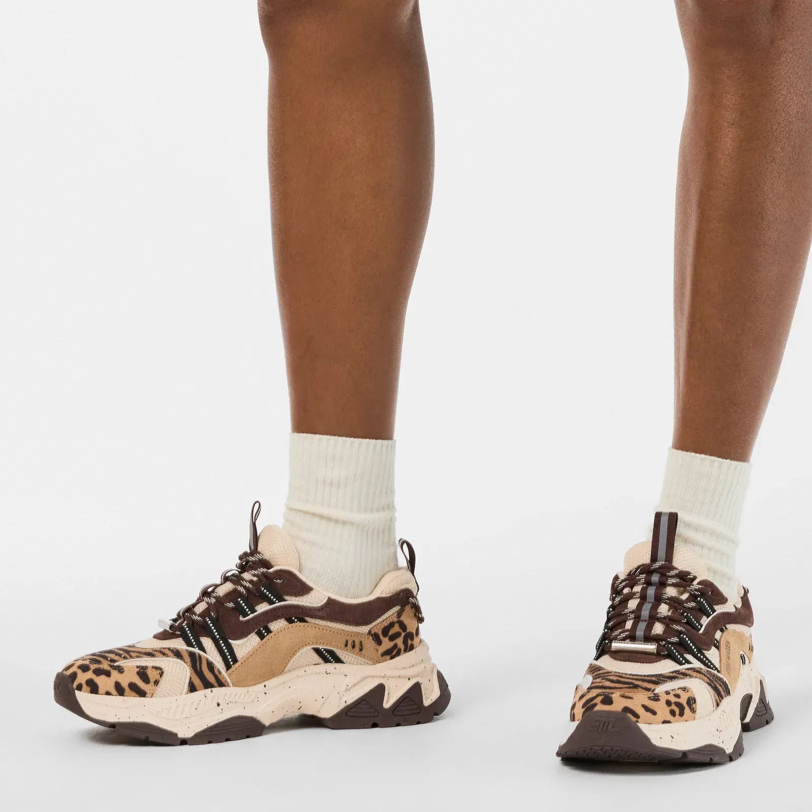 Animates-LE Trainers