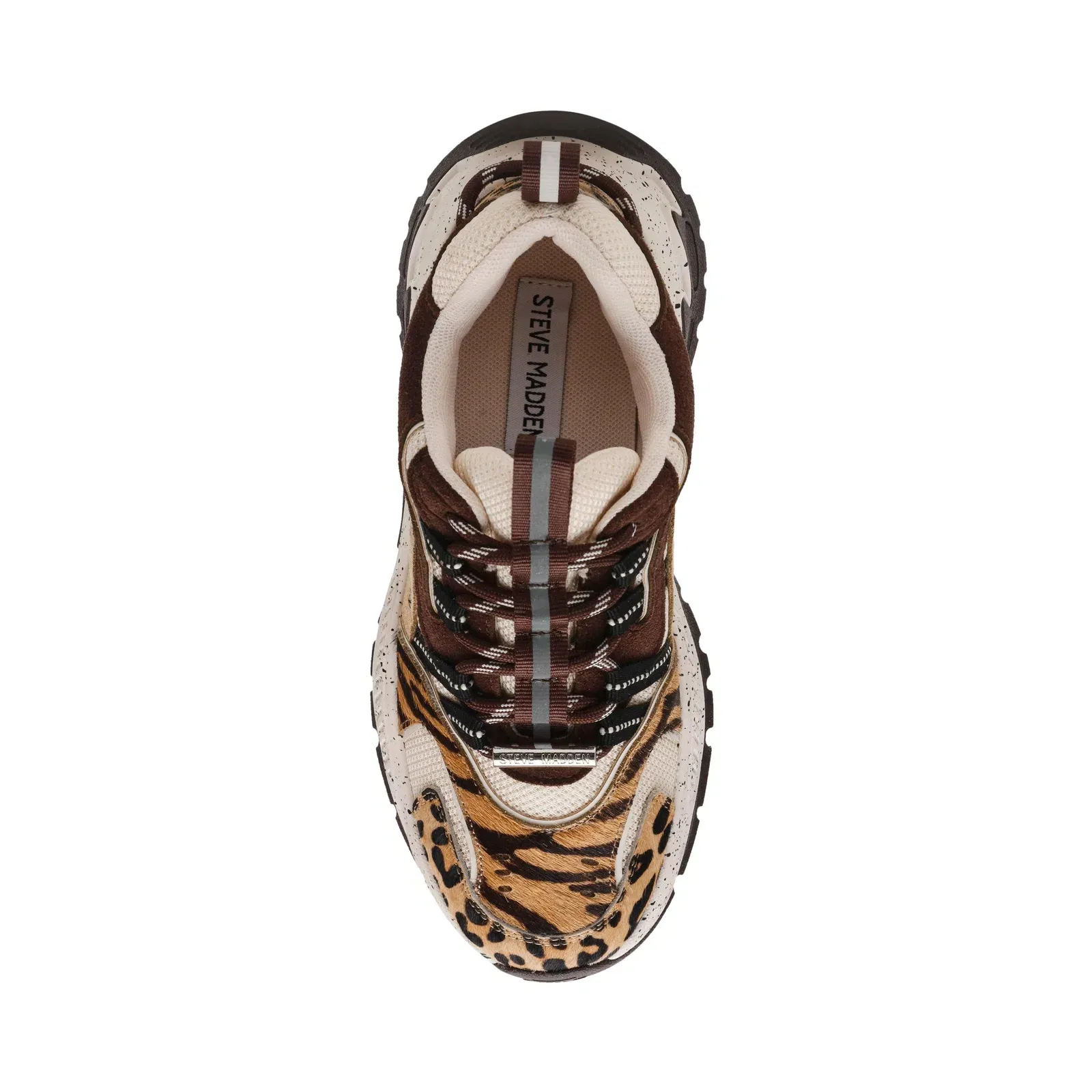 Animates-LE Trainers