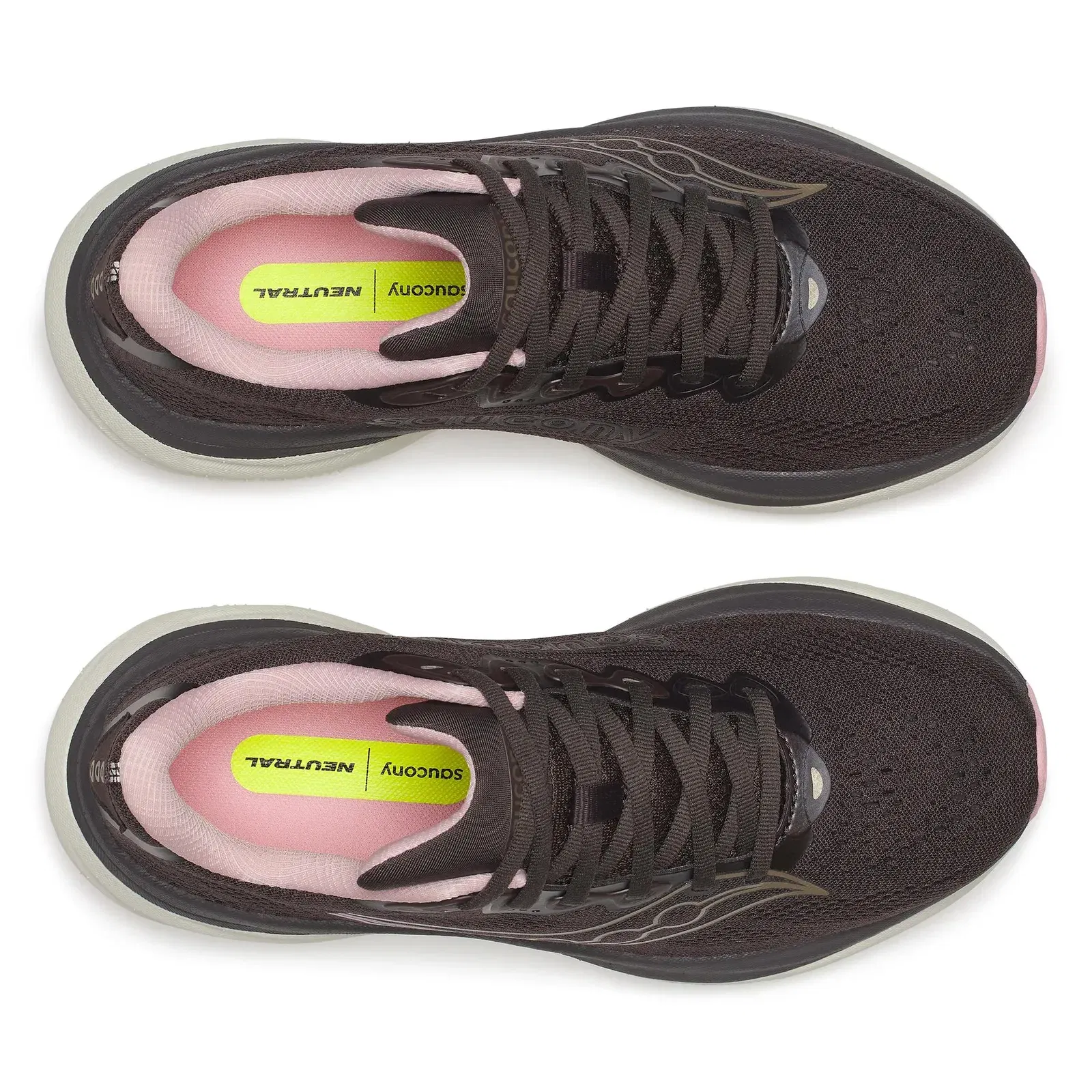 Saucony Women's Ride 19 Torte | Eggshell