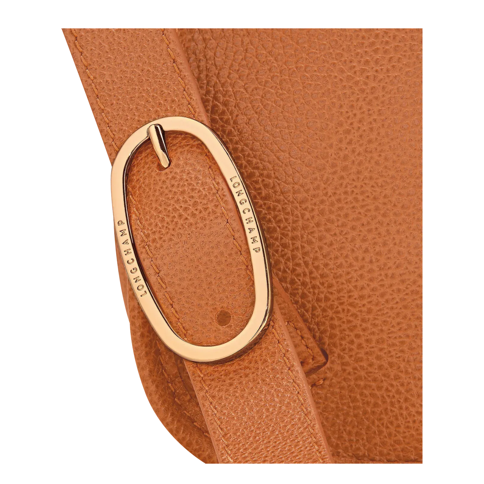 Longchamp Le Foulonné M Backpack Amber