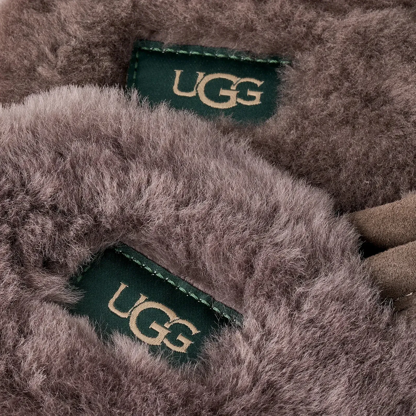 Ugg Scuff Mustard Seed / Molasses
